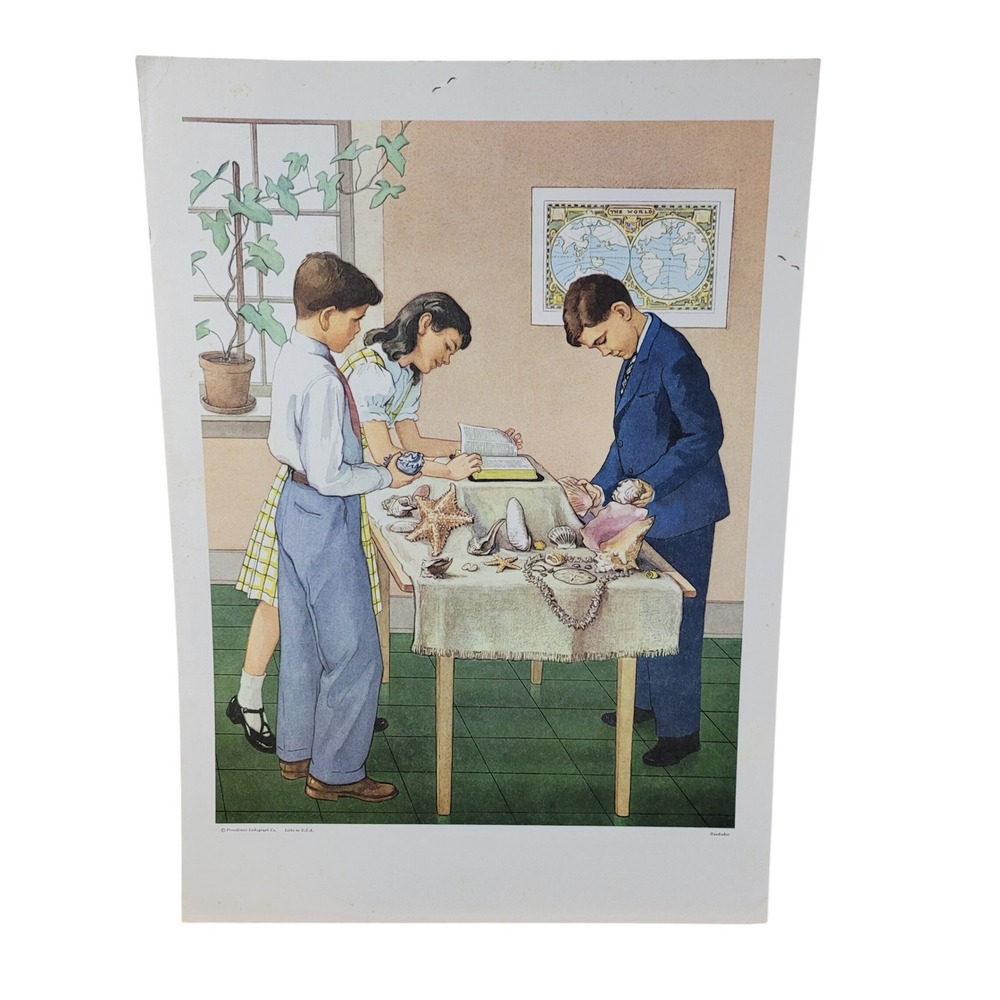 Vintage 1962 Wonders of the Sea Sunday School Lithograph Print Dorothy Handsaker